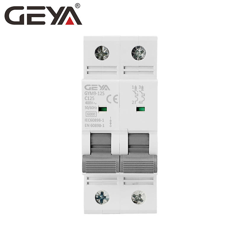 GEYA GYM9-125 2P 80-125A 5 2 Pole 6KA 40A-125A 400V Electric Mini AC Circuit Breaker Switch MCB in DIN Rail Manufacturer Supply